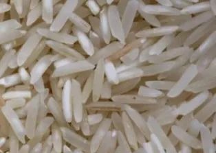 Arroz